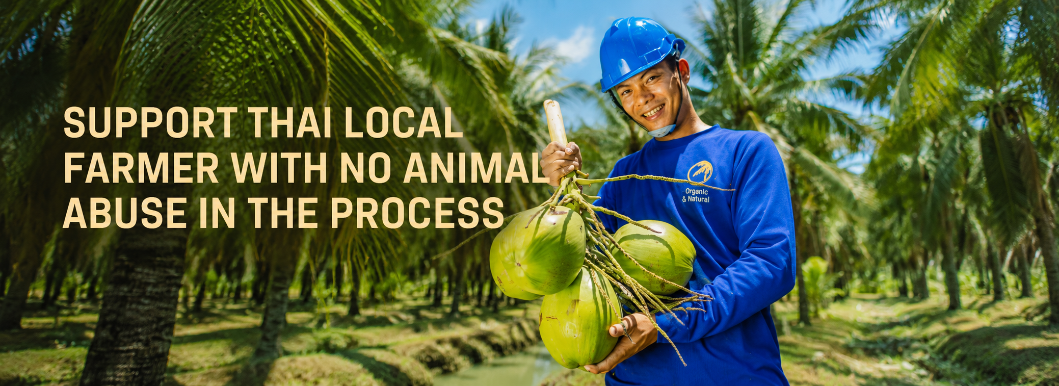 Supporting Thai Coconut Farmers Naturally